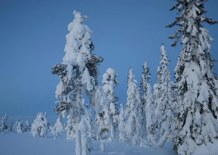 Casa de Férias Fulufjellet Nationalpark - Of Snow, Nature And Peace Ljordalen