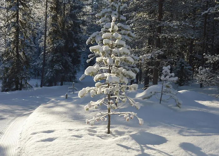 Fulufjellet Nationalpark - Of Snow, Nature And Peace Ljordalen